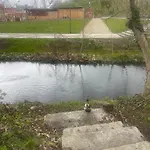 Appartement Villakrocker - Elberadweg Trifft Wandkunstwerk *