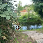 Villakrocker - Elberadweg Trifft Wandkunstwerk * Burg bei Magdeburg