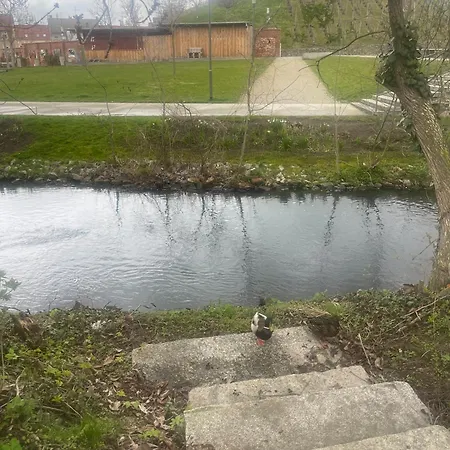 Apartment Villakrocker - Elberadweg Trifft Wandkunstwerk *