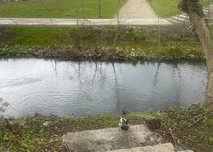 Lägenhet Villakrocker - Elberadweg Trifft Wandkunstwerk *