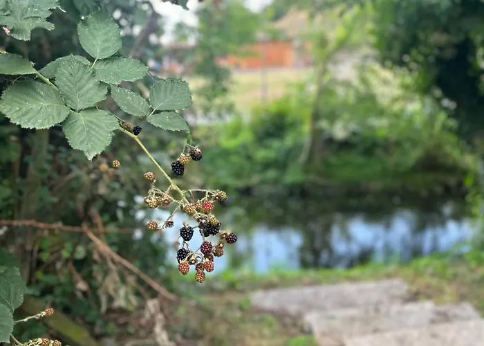 Villakrocker - Elberadweg Trifft Wandkunstwerk * Burg bei Magdeburg